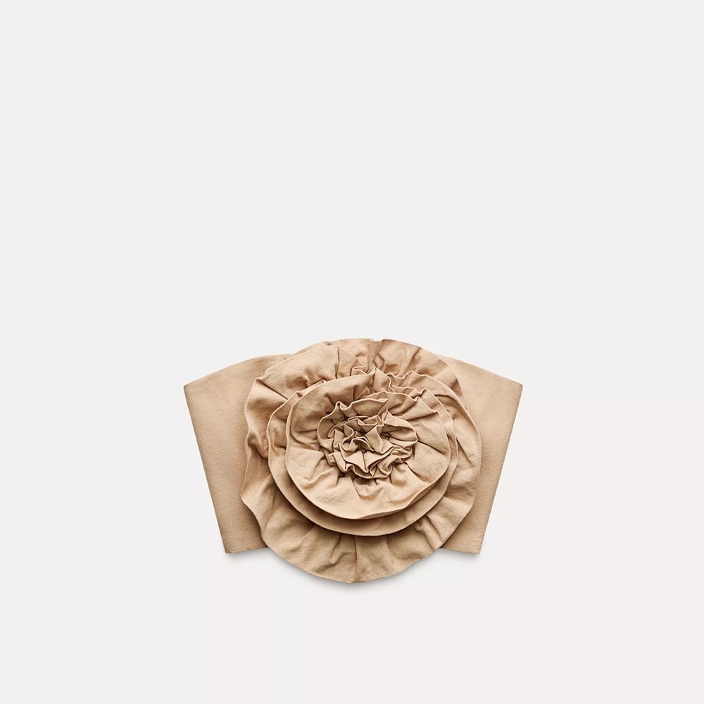 Zara Tan Crop Top with Floral Detail